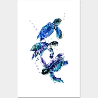 Three Sea Turtles Posters and Art